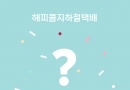 2025년 해피콜지…